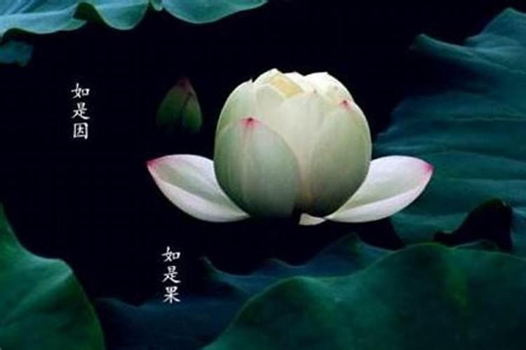 堕胎后什么时候还阴债？