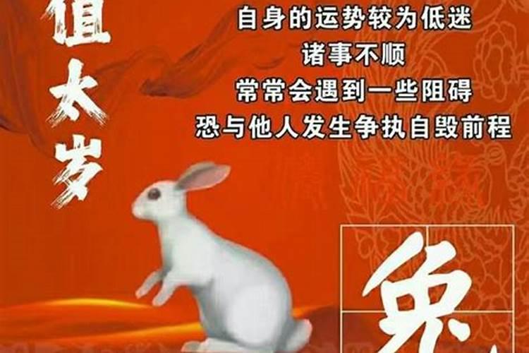 生肖兔那几年犯太岁？