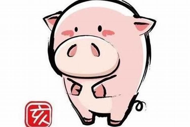 属猪的牛年运势怎么样？