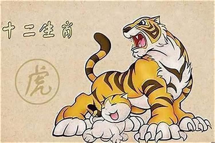 牛和虎合婚好吗？