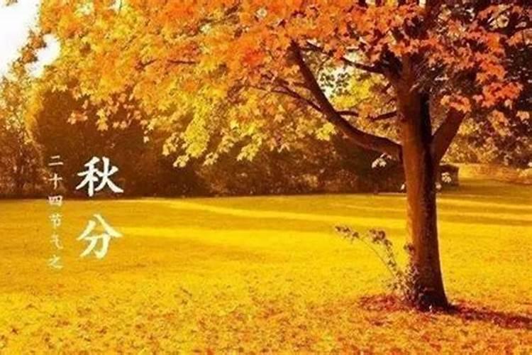 秋分中国的风俗