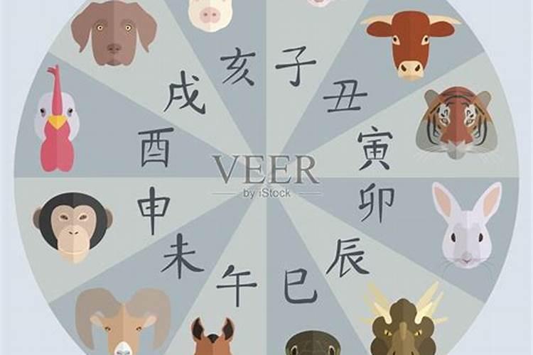 19各生肖运势如何？