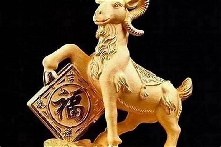 91年羊年今年运势如何？