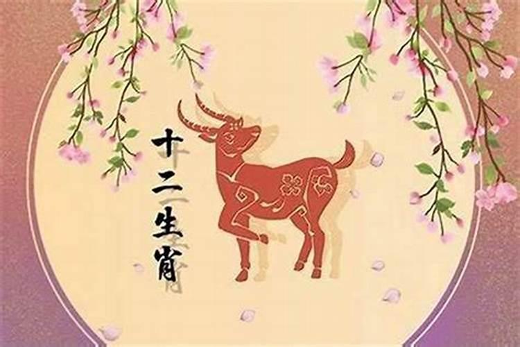 女羊男马八字合吗？