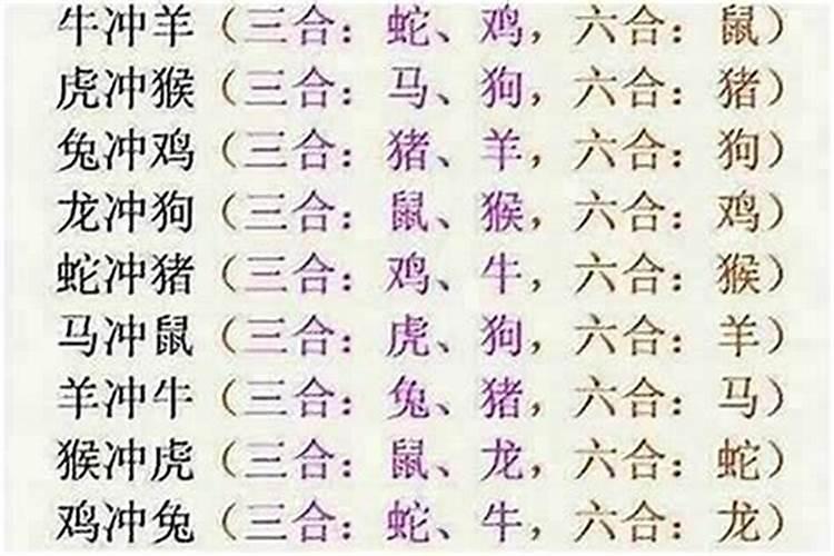 牛跟哪几个生肖比较合婚姻？