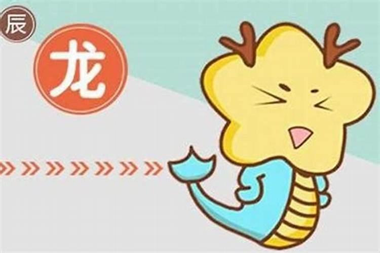 属龙与属狗的合婚吗？