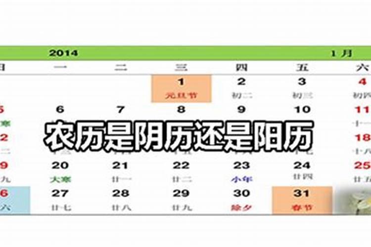 阳历是农历吗？