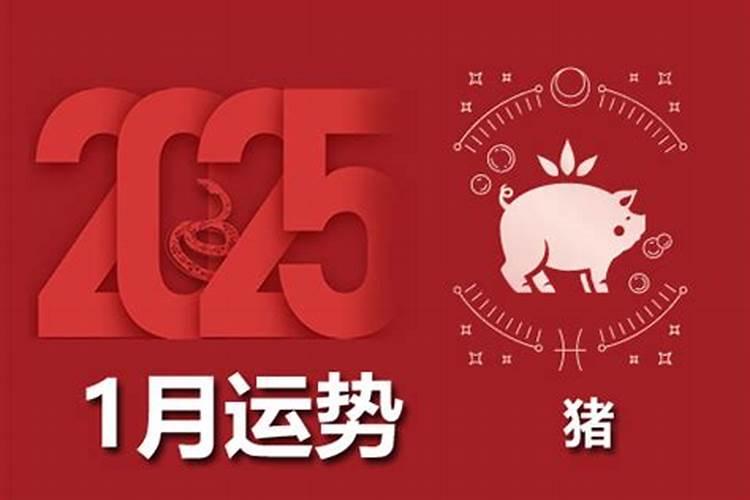 49岁属猪人2026年运势
