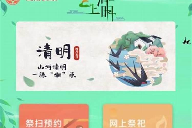 清明网络祭扫内容