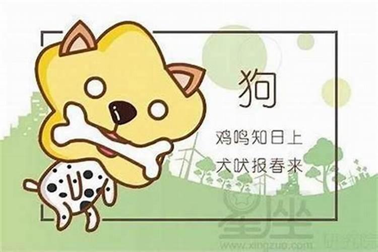 属狗的跟属蛇的八字合不合适