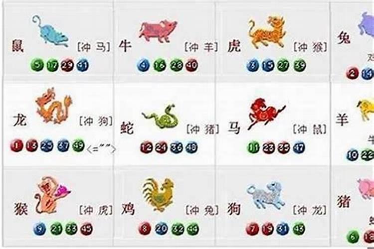 属猪和属狗八字合吗？
