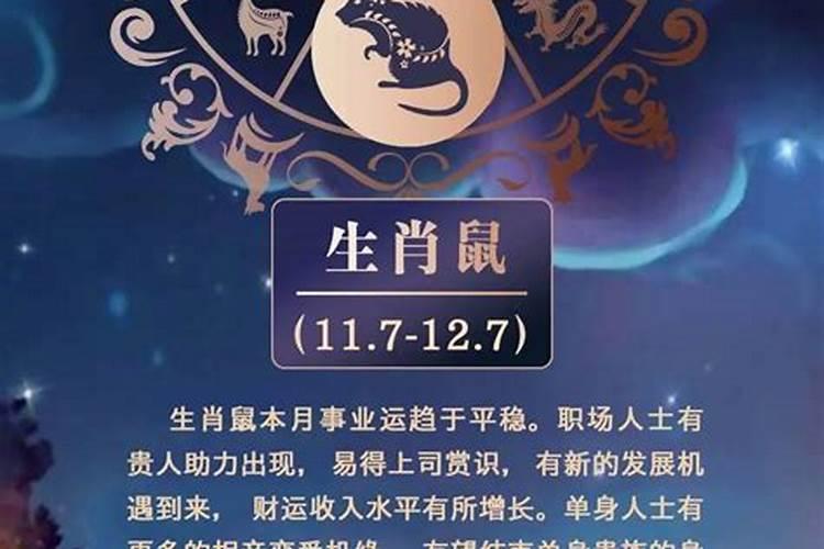 10月出生属鼠人的运程