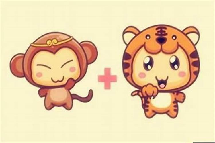 属免与属猴合婚吗？