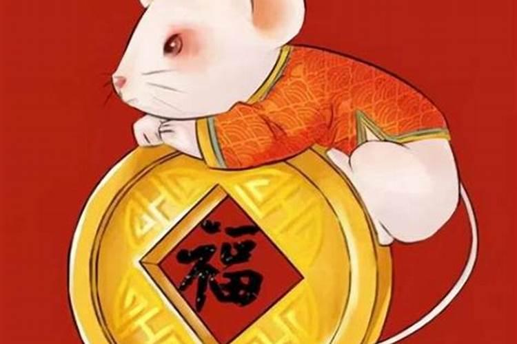 鼠今年运势好不好？