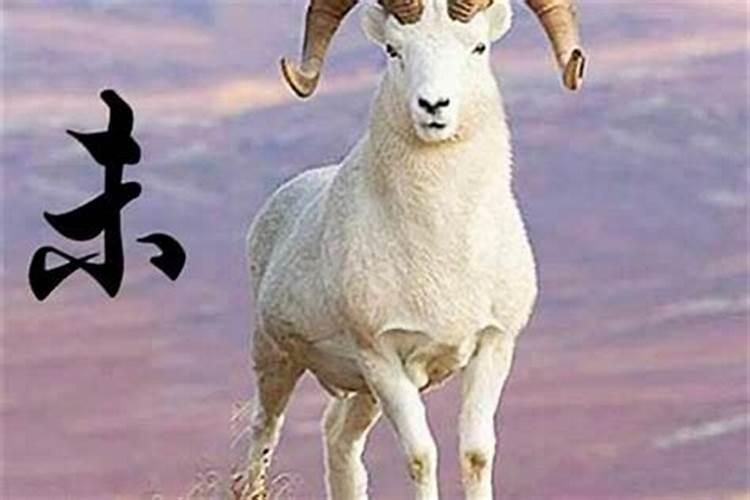 属羊人今年犯太岁应该怎么办？