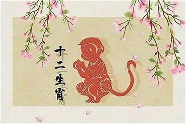 属猴女在2026年运势如何？