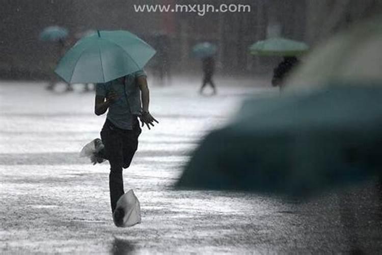 梦见被雨淋是什么预兆？