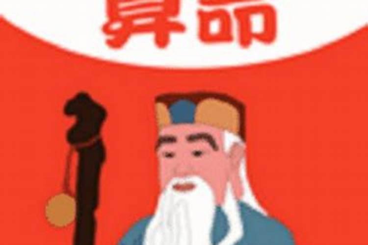 属猪女属相婚配可以吗？