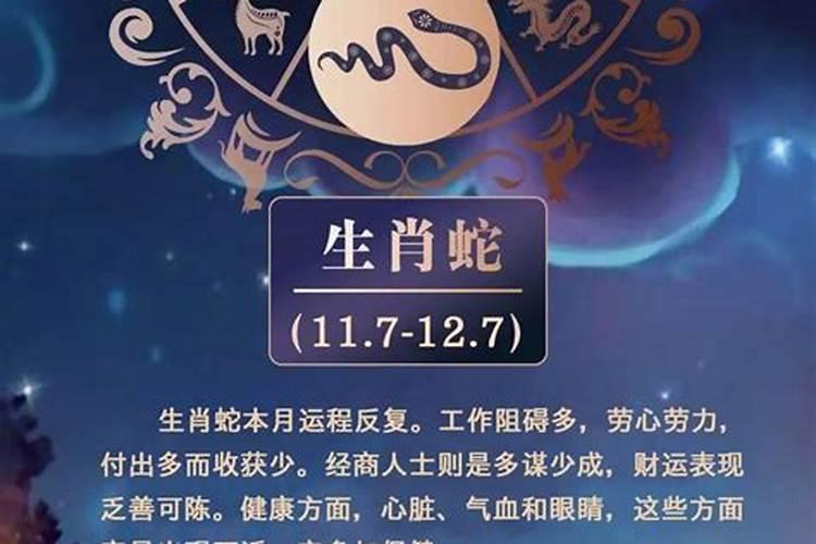 属鼠在7月的运势如何？