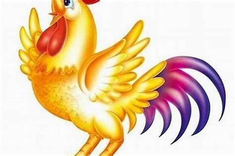属鸡男今年的感情运势