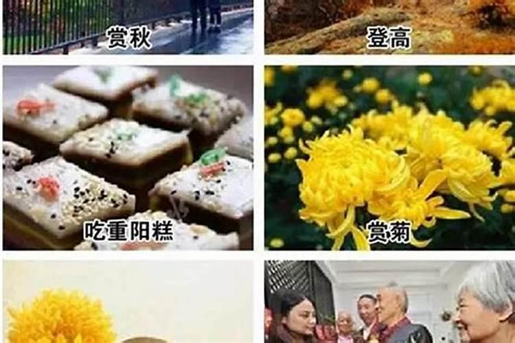九月初九是有什么风俗？