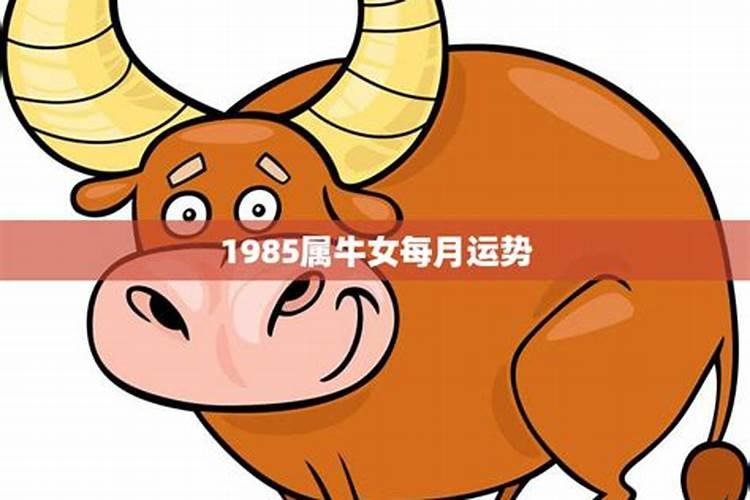 1985年属女牛的感情运势如何？