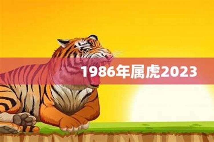 1986虎年本命命年