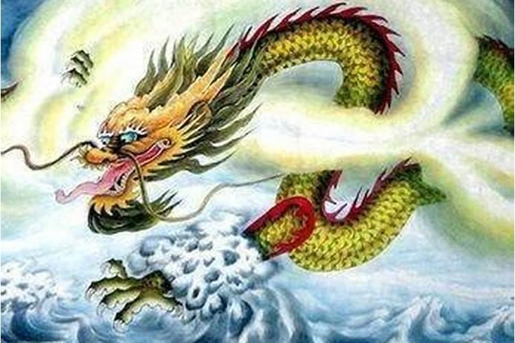76年5月20出生的属龙的运程