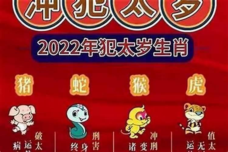 蛇与猪犯太岁什么意思？
