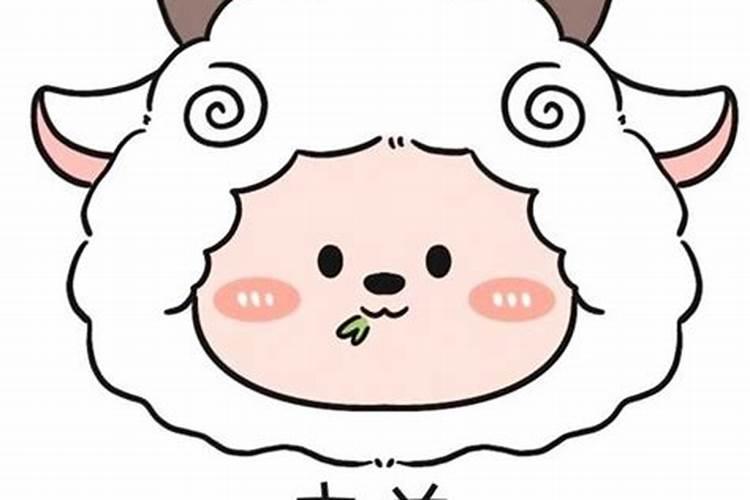 属羊的今年犯太岁怎么办？