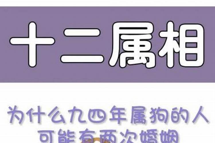 属狗男2026年运势运程1994年