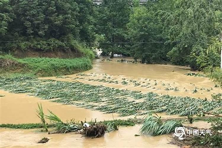 梦见老家发大洪水淹没庄稼