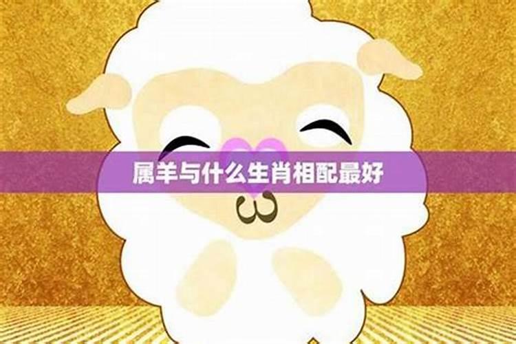 属相婚配测试羊与猴