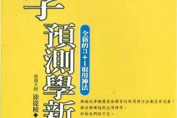 八字预测学新解徐从桉