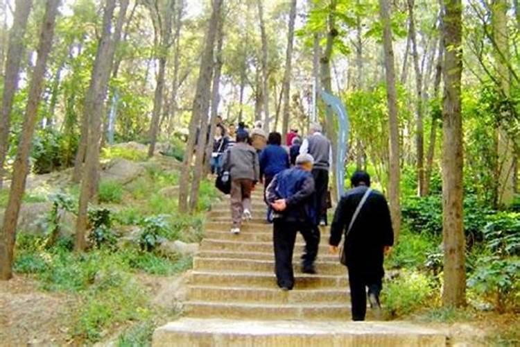 重阳节登高习俗登高的来历