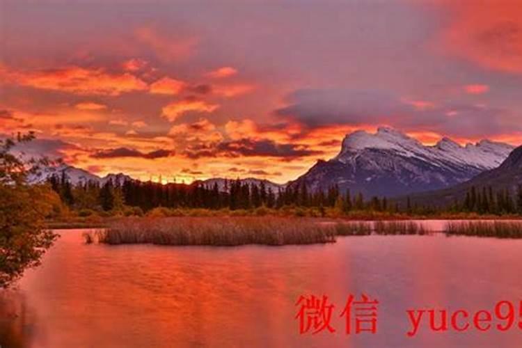 滕州哪里有算命的高人？