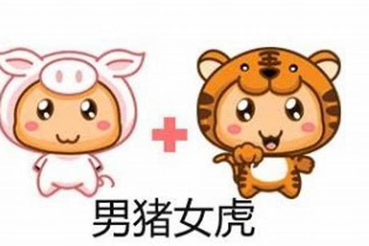 属猪与属虎的八字合吗？