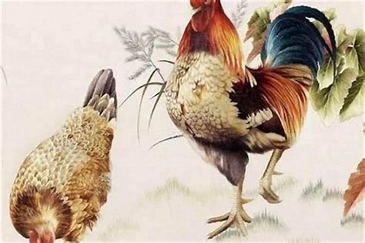 属鸡辰时出生运程