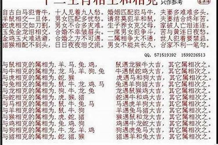 属龙跟属狗合婚吗？