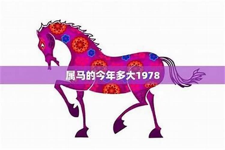 属马今年十一月运程