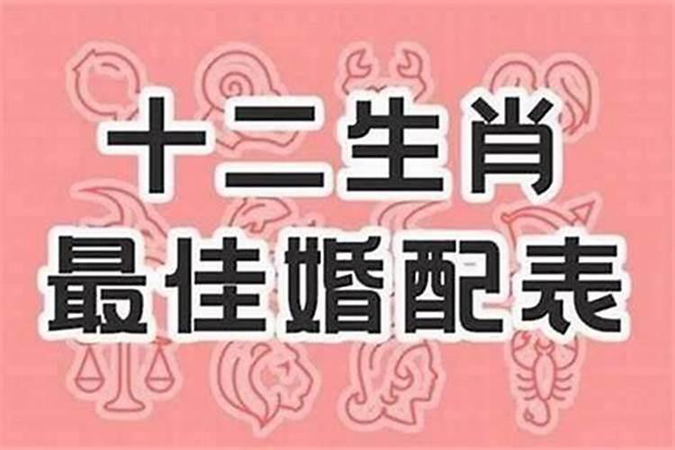什么生肖同类结合婚姻幸福？