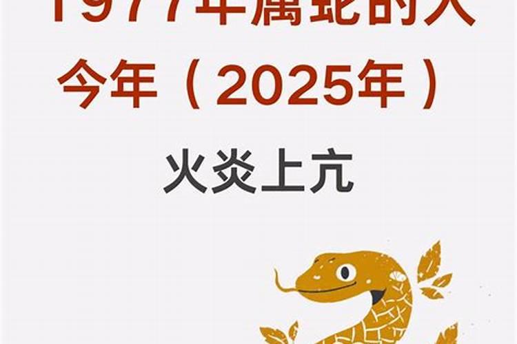 1977年出生蛇运程