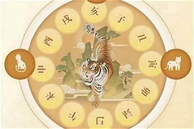 虎年犯太岁怎么办？
