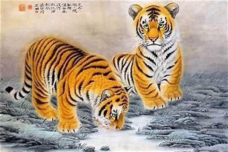 虎今年下半年运势如何？