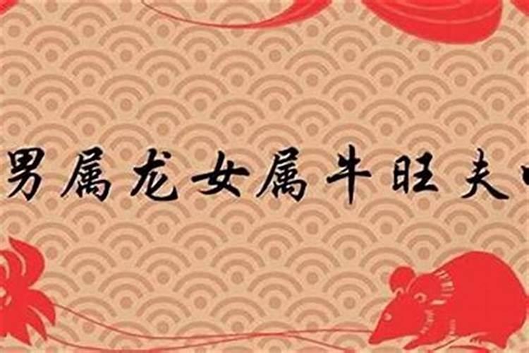 属相龙和牛婚配可以吗？