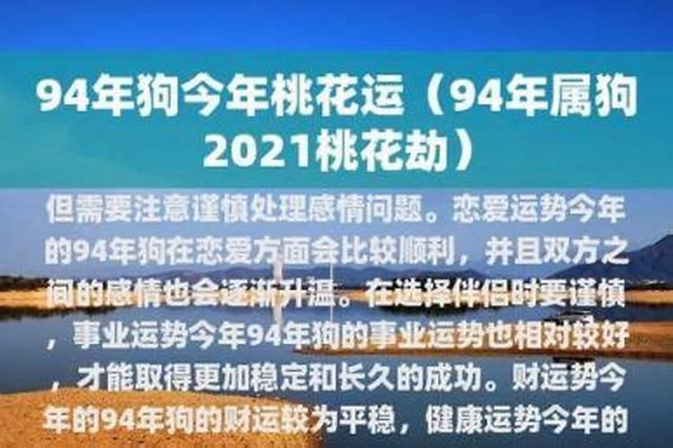 94年属狗2026年运势男