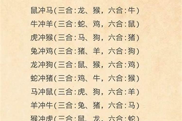 生肖鼠和什么生肖相冲？