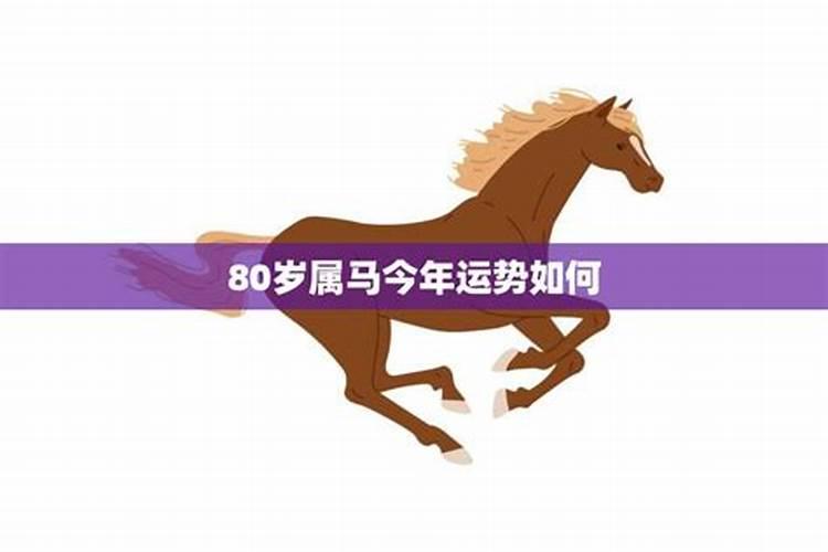 八十九岁属马今年的运势