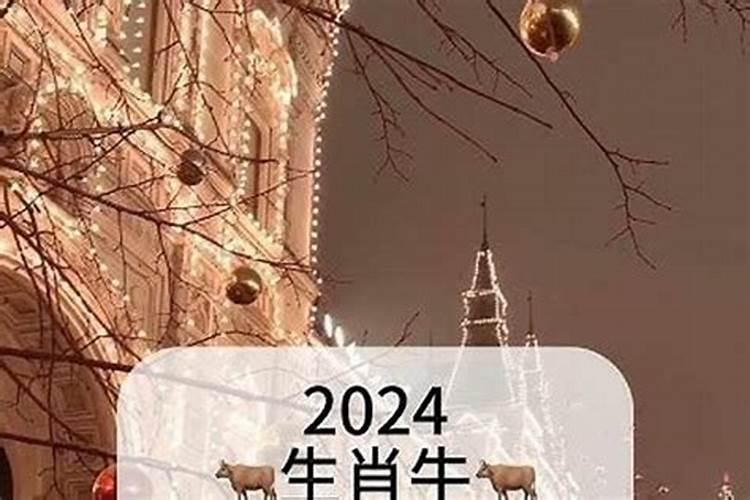 今年属候11月的运程