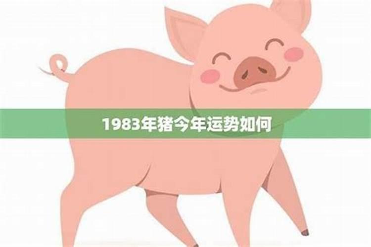 1983年猪年2026年运势
